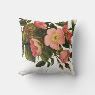 Coussin Roses Anciennes Jolies Roses Botaniques Roses