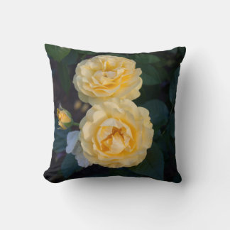 Coussin Roses d'or doux