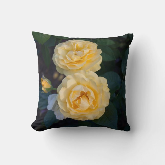 Coussin Roses d'or doux (Recto)