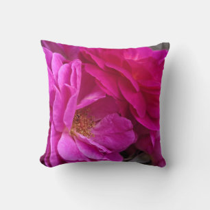 Coussin Roses roses