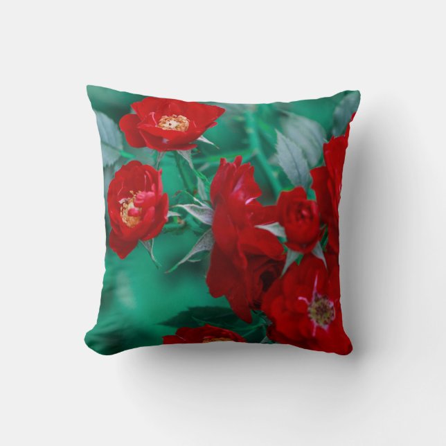 Coussin Roses rouges Pale Green Feuilles (Recto)