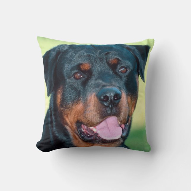 Coussin Rottweiler (Recto)