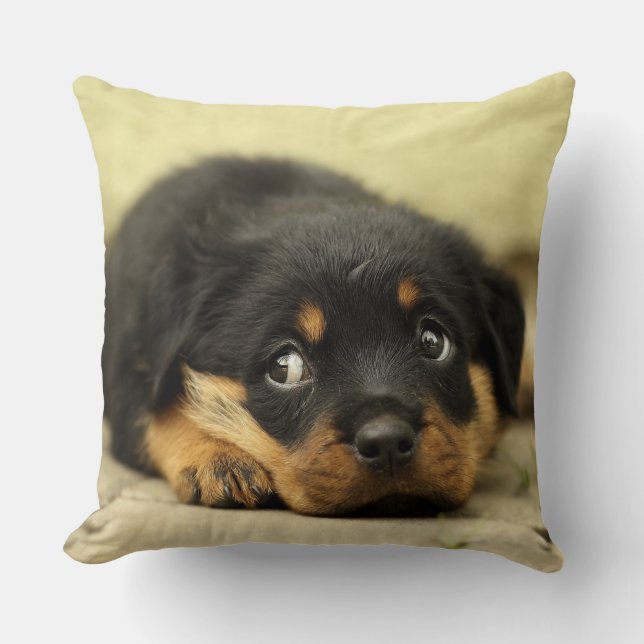Coussin Rottweiler chiot adorable (Recto)