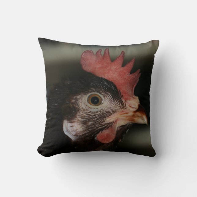 Coussin Rouge (Recto)