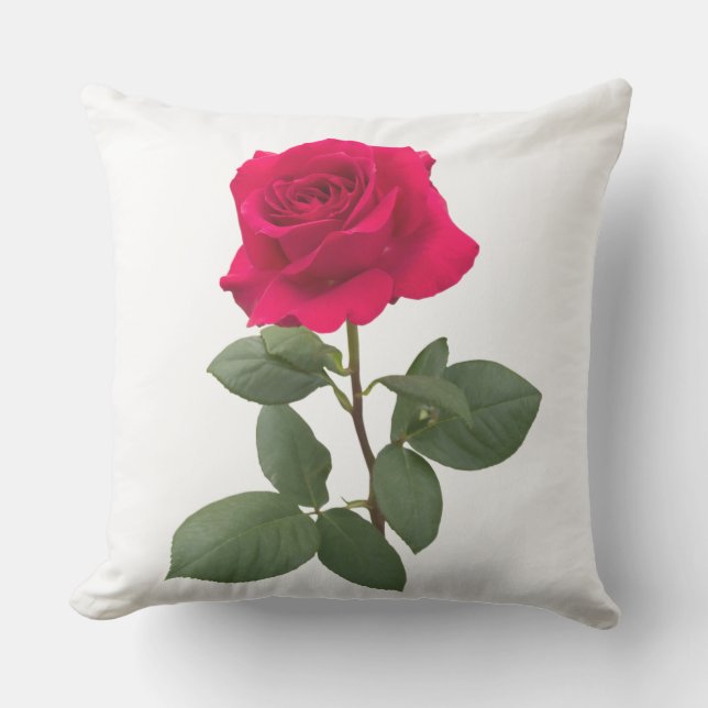 Coussin Rouge (Recto)