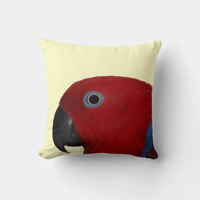 Coussin Rouge de carreau d'Eclectus (Recto)