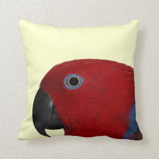 Coussin Rouge de carreau d'Eclectus