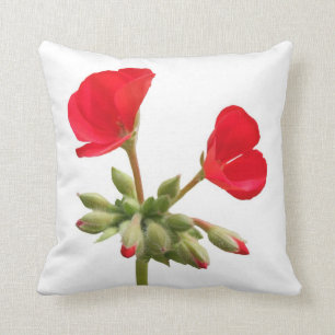 Coussin rouge de géranium