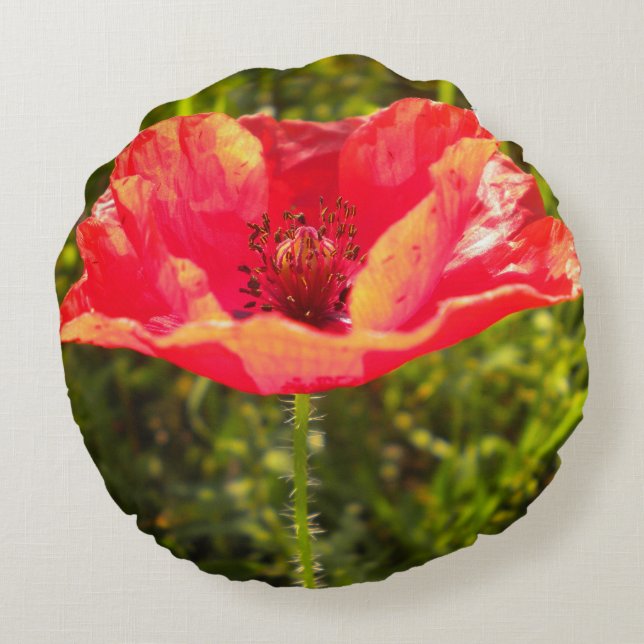 Coussin rouge de pavot de champ (Dos)