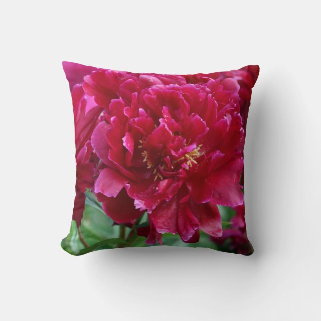 Coussin rouge de pivoine (Recto)
