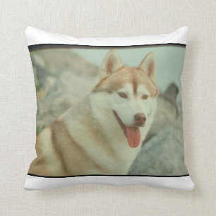 Coussin rouge et blanc de MoJo de chien de