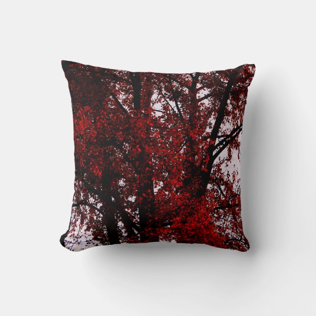 Coussin Rouge et noir (Recto)