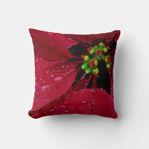 Coussin Rouge Noël Poinsettia