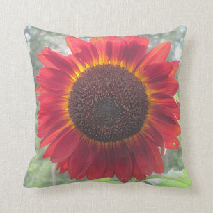 Coussin rouge rouillé de tournesol