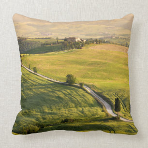 Coussin Route blanche dans le carreau de paysage de la