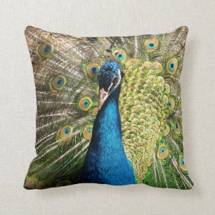 Coussin Royal Blue Peacock