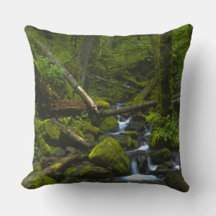 Coussin Ruisseau de la forêt pluviale tempérée dans la riv