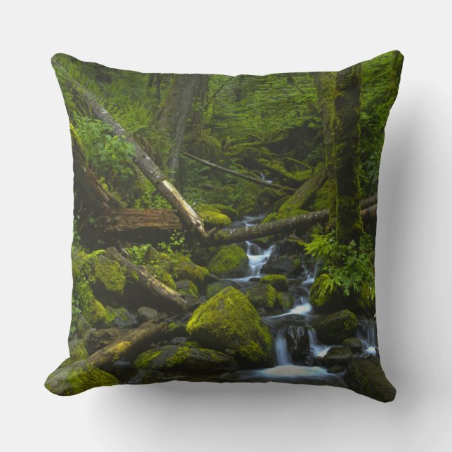 Coussin Ruisseau de la forêt pluviale tempérée dans la riv (Recto)