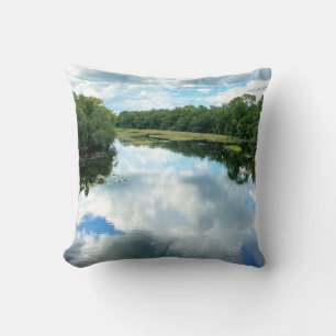Coussin Ruisseau de la source Alexander