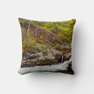 Coussin Ruisseau forestier dans les Great Smoky Mountains