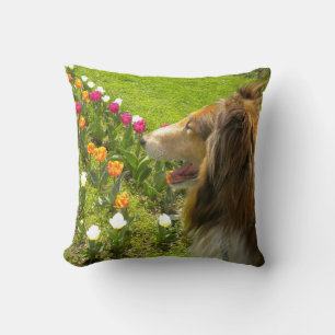 Coussin Sable Rough Collie and Tulips