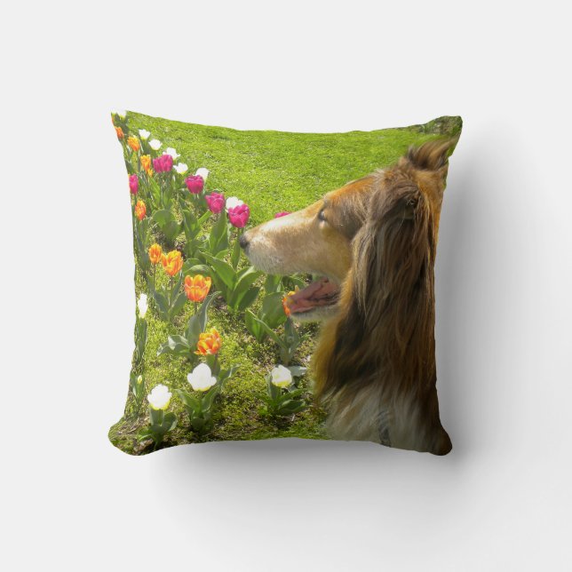 Coussin Sable Rough Collie and Tulips (Recto)