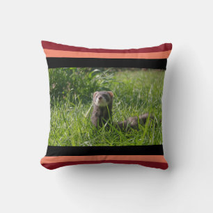 Coussin Sable Weasel Image Cute Ferret