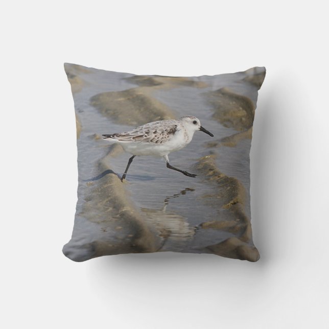 Coussin Sanderling (Recto)