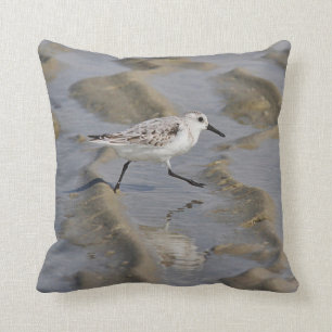 Coussin Sanderling