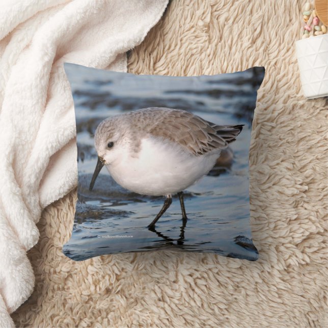 Coussin Sanderling mignon au Winter Beach (Couverture)