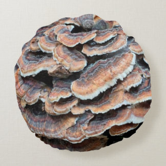 Coussin sauvage impressionnant de champignon !