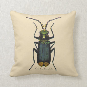 Coussin Scarabée vintage Rever. de malachite d'entomologie