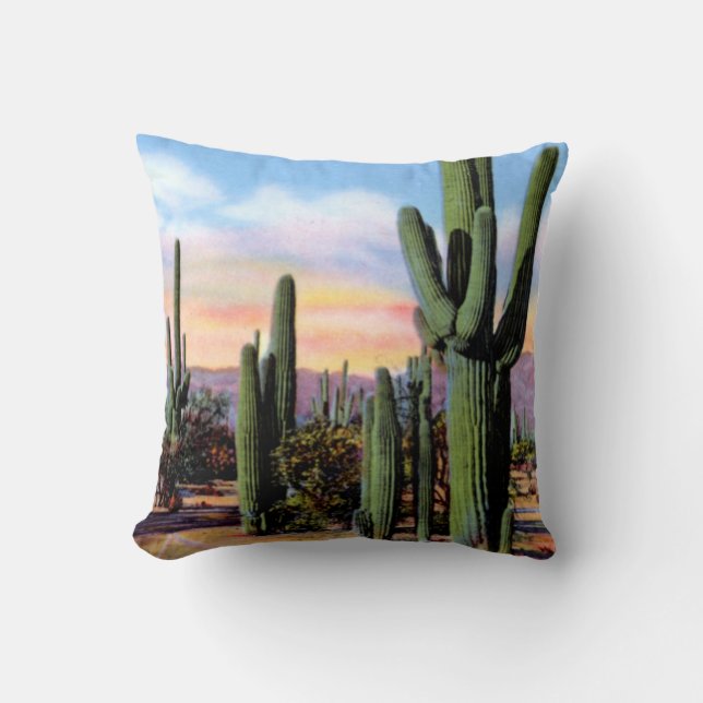 Coussin Scène de désert de l'Arizona Sonoran (Recto)
