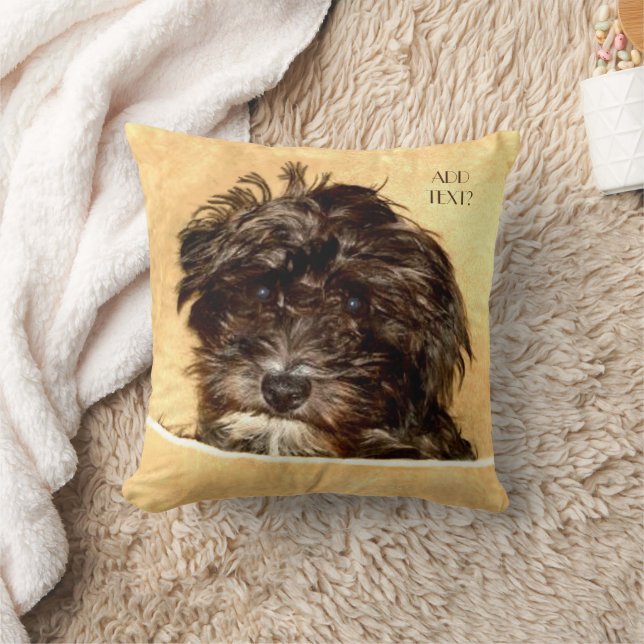Coussin Schnoodle Dog Jeter l'oreiller avec le texte (Couverture)