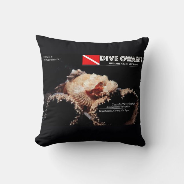 Coussin Scorpène sur l'éponge (Recto)