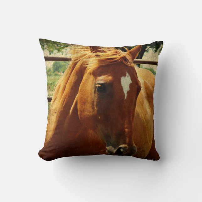 Coussin Scotch (Recto)