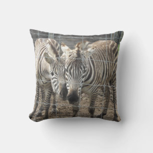 Coussin Se câliner des zèbres