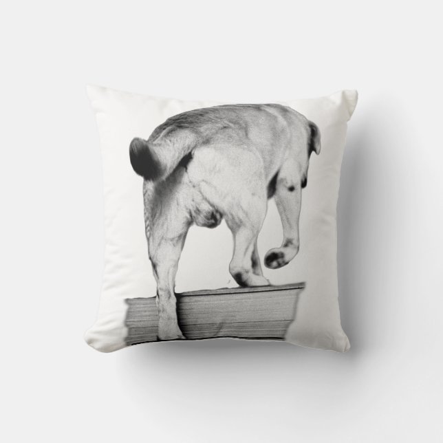 Coussin Se Diriger Vers Les Nuits De Récolte (Recto)