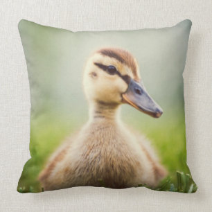 Coussin Se pencher de Mallard de bébé
