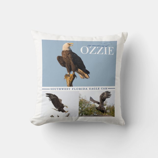 Coussin Se rappeler le carreau d'Ozzie (Recto)