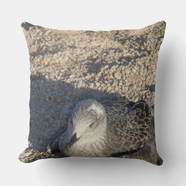 Coussin Seagull Profitant Du Soleil Été Photographie (Recto)
