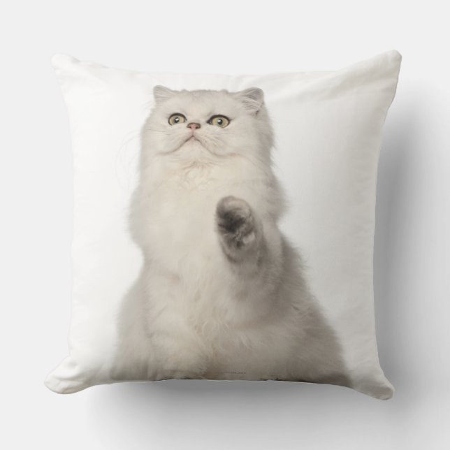Coussin Séance de chat persan (Recto)