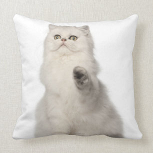 Coussin Séance de chat persan