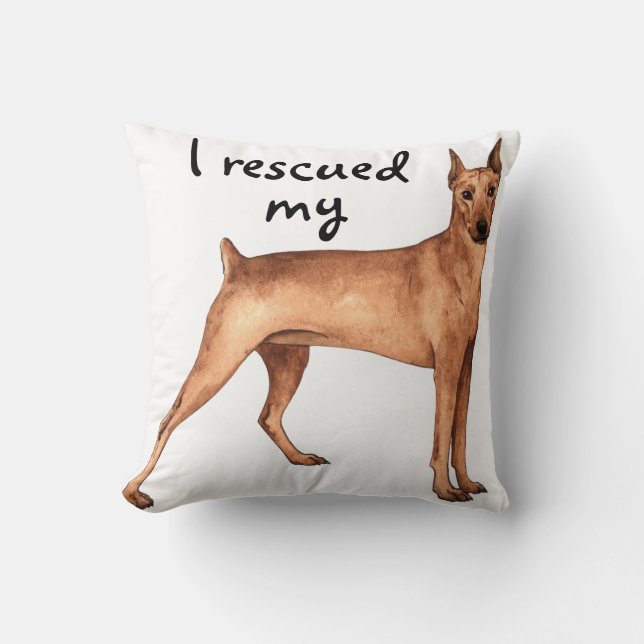 Coussin Secourir allemand Pinscher (Recto)