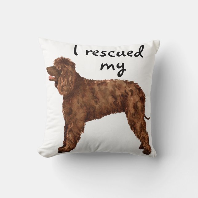 Coussin Secourir Irish Water Spaniel (Recto)