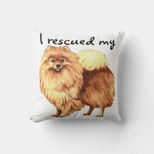 Coussin Secourir Pomeranian