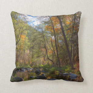 COUSSIN SEDONA ARIZONA SE DÉCLENCHER UN AUTRE JOUR