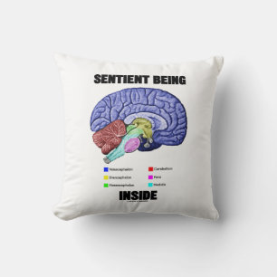 Coussin Sentiments Se Trouvant À L'Intérieur Du Cerveau An
