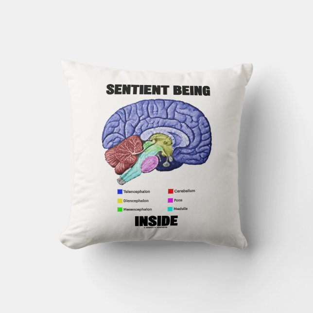 Coussin Sentiments Se Trouvant À L'Intérieur Du Cerveau An (Recto)