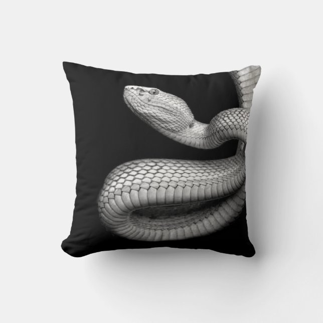 Coussin Serpent (Recto)